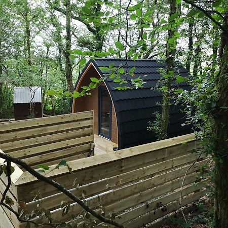 The Pod-Hot Tub-Woodland Lodges-St Clears-Carmarthen Buitenkant foto