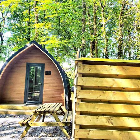 The Pod-Hot Tub-Woodland Lodges-St Clears-Carmarthen Buitenkant foto
