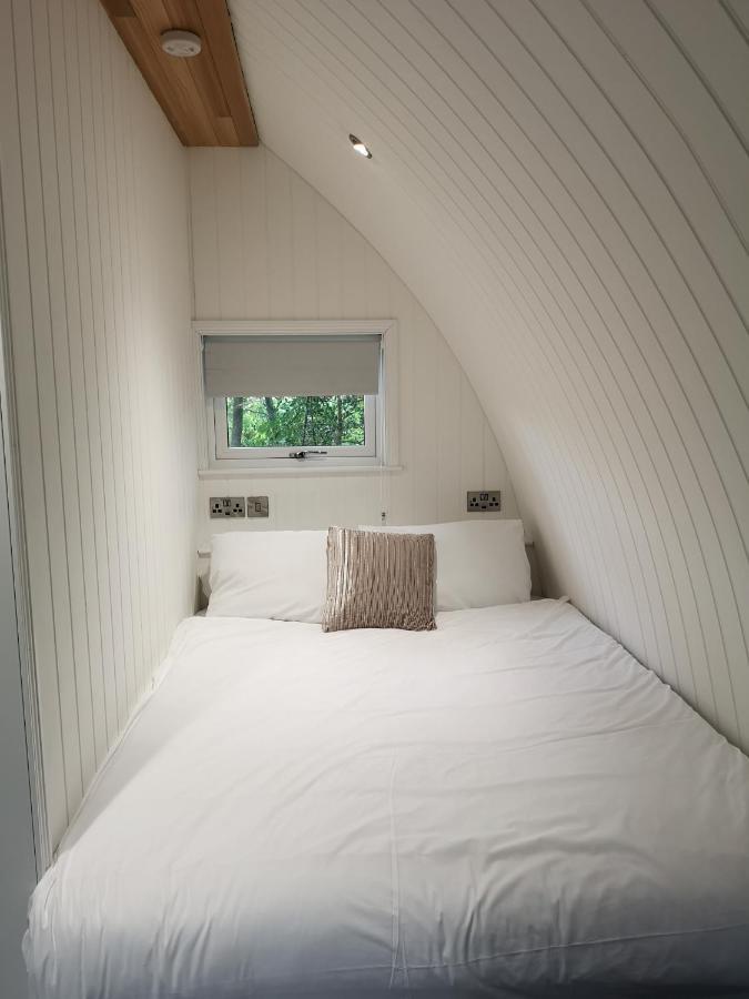 The Pod-Hot Tub-Woodland Lodges-St Clears-Carmarthen Buitenkant foto
