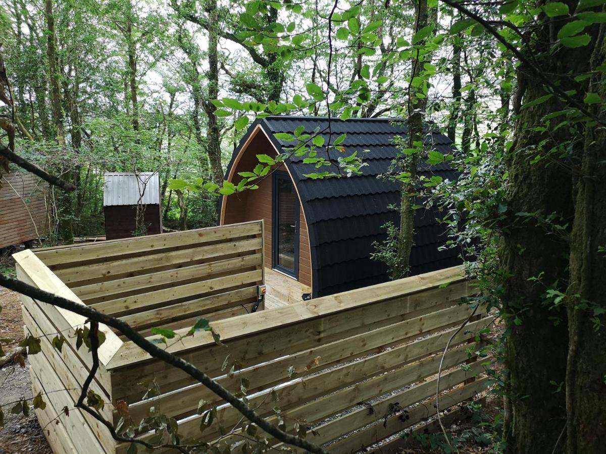 The Pod-Hot Tub-Woodland Lodges-St Clears-Carmarthen Buitenkant foto