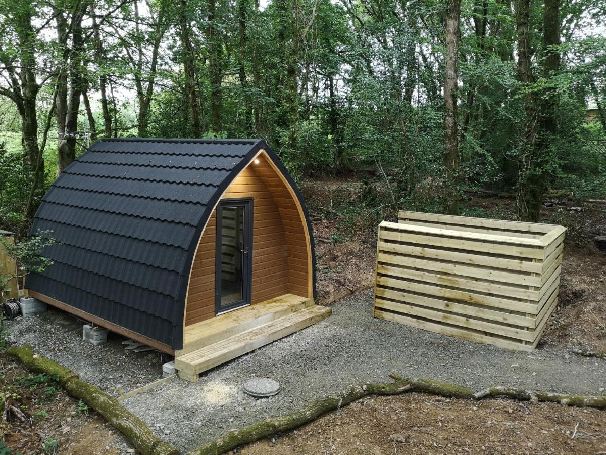 The Pod-Hot Tub-Woodland Lodges-St Clears-Carmarthen Buitenkant foto