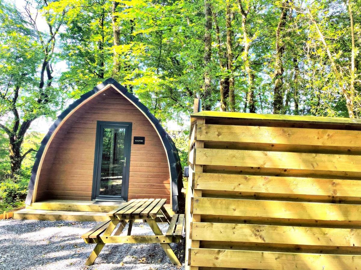 The Pod-Hot Tub-Woodland Lodges-St Clears-Carmarthen Buitenkant foto